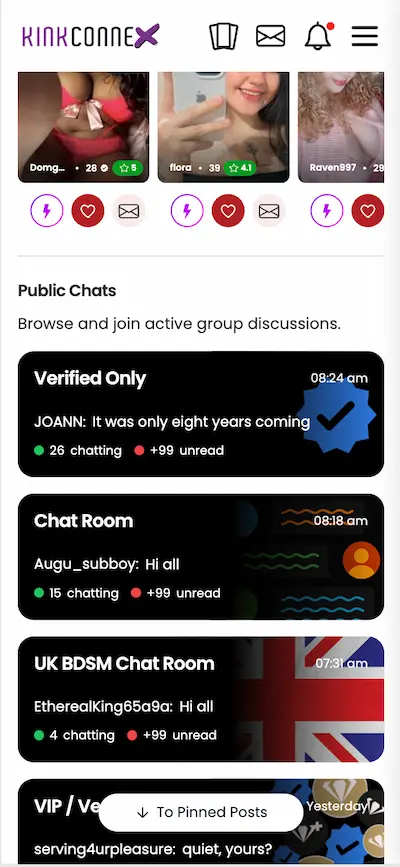 Kink Connex UK app chat and messages
