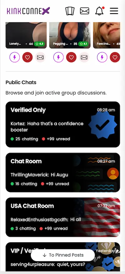 Kink Connex US app chat and messages